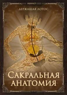 Сакральная анатомия