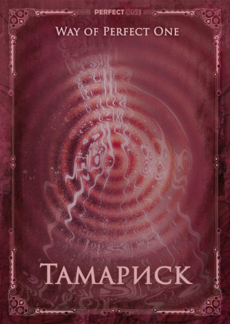 Программа «Совершенная. Тамариск»