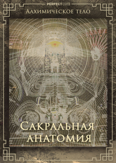 Сакральная анатомия 