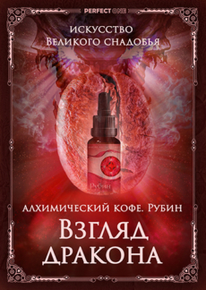Программа «Взгляд дракона»
