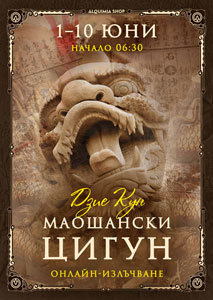 Онлайн-излъчване на семинара „Маошански цигун“