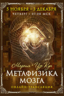 Метафизика мозга