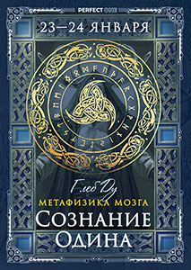 Метафизика мозга. Сознание Одина