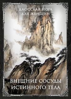 Внешние сосуды Истинного тела