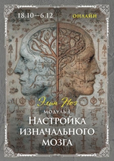 Программа «Функции мозга: интегральность и направленность». I модуль «Настройка изначального мозга: продолговатый мозг, мозжечок»